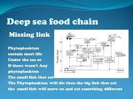 A Deep Sea Habitat By Stephen Kucher Deep Sea Facts 1 The Average Depth Of A Deep Sea Ocean Is 3 800 Meters And Trenches Up To 11 The Temperatures Ppt Download