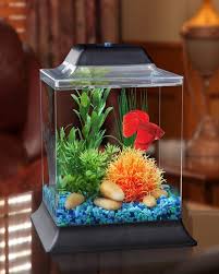 The subreddit for anything related to aquariums! Small Fish Tank Decorations Home Interior Exterior Decor Design Ideas