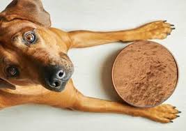 Is Tea Seed Saponin Safe For Animals - News - HJHERB BIOTECH