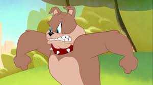 Is releasing simultaneously in cinemas and. Tom And Jerry In New York Tv Series 2021 Imdb
