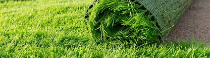 Always wanted a backyard putting green? How To Clean Artificial Grass Simple Green
