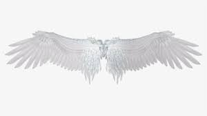Black Wings Png Images Transparent Black Wings Image Download Pngitem Thousands of parents and educators are turning to the kids' learning app that makes real learning truly fun. black wings png images transparent