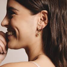 HOOPS WITH CIRCONIAS