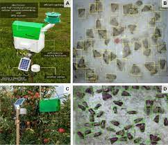 3an image processing system was optimise the quantity and quality of the yield. Insect Pest Monitoring With Camera Equipped Traps Strengths And Limitations Springerlink