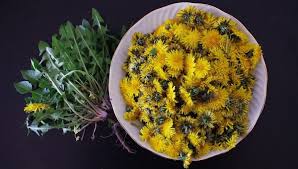 Maybe you would like to learn more about one of these? Tarassaco In Cucina Ricette Proprieta Come Riconoscerlo