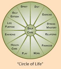 We're gonna take a look at some diagrams of some life cycles a diagram is a drawing that explains something to us. Quotes About Circle Of Life 80 Quotes