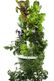 Maybe you would like to learn more about one of these? Tower Garden For Home Tower Garden For House Residential Tower Garden True Garden