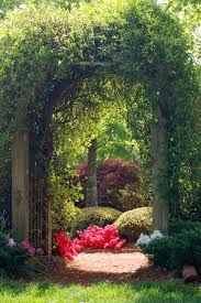 Arbor Covered In Carolina Jessamine Vine Leading In To A Secret Garden Outside Landscape Group Www Out Traditional Landscape Landscape Design Beautiful Gardens