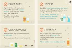 For this purpose, it is best to stick to distilled. Pest Control Hacks That Are Guaranteed To Change Your Life