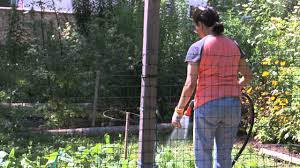 7/14/2021 6:30 pm jewish philosophy with rabbi mendelson cleveland heights, oh usa: Sunshine Garden Foodshare