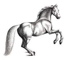 Want to discover art related to horse? How To Draw A Horse With Pencil