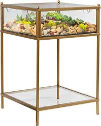 Reinforced glass for added strength. Amazon Com Square Terrarium Display End Table With Reinforced Glass In Gold Iron 18 L X 18 W X 27 H Great Indoor Decor For Home Or Office Diy Garden For Fern