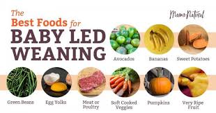 Foods that start with u overview: How To Do Baby Led Weaning And Why You D Want To