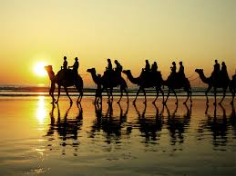 Recently, she visited cable beach in broome, australia where she was able to take stunning photos of their famous camel trains. Camel Rides Broome Sunset Cable Beach Camel Rides All Tours