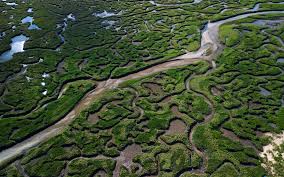 Elsie Temple blog — North Norfolk Concierge