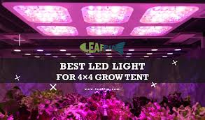 Best Led Light For 4x4 Grow Tent To Get More Yield 2020 Guide Review