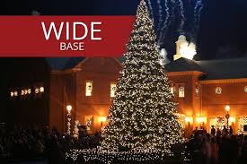 Search titles only has image posted today bundle duplicates miles from zip condition. Commercial Christmas Trees