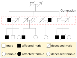 Chromosome Theory Of Inheritance Biology 1510 Biological