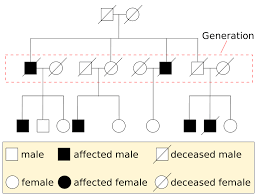 File Pedigree Chart Example Svg Wikimedia Commons