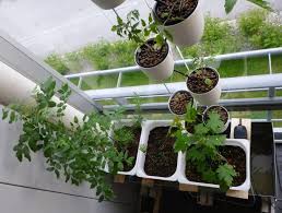 Expandable hydroponic water culture system Hydroponics Design Ideas For Android Apk Download