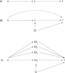 Image result for training effect schema