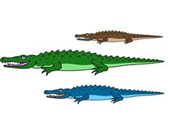 Step 2 in this step draw out the eyes in the shape of ovals. How To Draw A Cartoon Crocodile How To Draw Cartoons