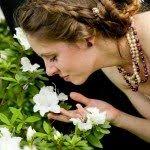 Growing & Using Rosemary in Skincare (and Food)