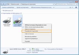 Ce pilote est pour windows 2000/xp/vista/7 (32bit). Configuration Des Reglages D Imprimante Sur Votre Ordinateur Canon Imagerunner 1133if 1133a 1133 Guide De L Utilisateur