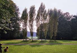 Kölner bank berater und filialen finden auf whofinance. Beethovenpark In Koln