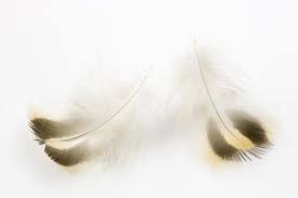 Farben Fototapeten Hochster Qualitat Photowall Leinwandbilder Fototapete Leinwand