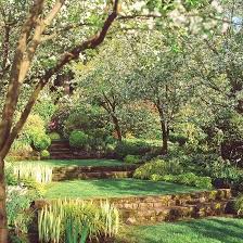 Perfect For A Garden With A Slight Slope When You Still Want To Have Some Flat Surfaces And Lawn Terraced Landscaping Backyard Landscaping Backyard
