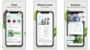 It will also help you gain knowledge if you love gardening. The 4 Best Plant Care Apps Review Geek