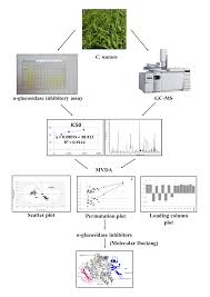 This is a true topical herb. Molecules Free Full Text Characterization Of A Glucosidase Inhibitors From Clinacanthus Nutans Lindau Leaves By Gas Chromatography Mass Spectrometry Based Metabolomics And Molecular Docking Simulation Html