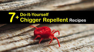 Causes of chiggers in the yard (garden/lawn). 7 Do It Yourself Chigger Repellent Recipes
