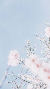 Aesthetic Pastel Blue Wallpapers Wallpaper Cave Blue aesthetic pastel blue eyes aesthetic aesthetic colors flower aesthetic summer aesthetic aesthetic fashion the blue boy isak & even nagisa. aesthetic pastel blue wallpapers