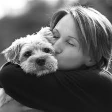 THE BEST 10 ANIMAL SHELTERS in VIERA, FL