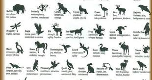 Native American Animal Symbols Bing Images Animal Symbolism Native American Animals Native American Animal Symbols