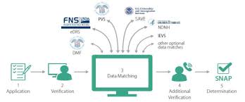 To illustrate the process of ssi eligibility determination for a nonelderly adult, consider for example a nonelderly woman, living alone, who comes to the local social security field office to apply for ssi in 2004. Errors And Fraud In The Supplemental Nutrition Assistance Program Snap Everycrsreport Com