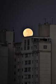 Mir gefällt das bild aus dem gleichen grund. 800 Besten Vollmond Fotos 100 Kostenloser Download Pexels Stock Fotos