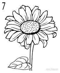 Image Result For Sunflower Line Drawings Sunflower Drawing Flower Drawing Drawings