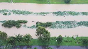 Rainfall condition central visayas provinces philippines 2019, by month. You Shouldn T Be Alarmed By The Flooding At Bishan Ang Mo Kio Park On Jan 1 2021 Mothership Sg News From Singapore Asia And Around The World