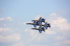 Image result for Blue 1969 Fleet