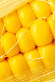 Ngo (एनजीओ ) full form in hindi. Chemical Weed Management In Maize Zea Mays L Under Conservation Agricultural Systems An Outlook Of The Eastern Gangetic Plains In South Asia Intechopen