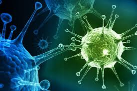 The mutation at position 23,403 has drawn the most attention—in part because it changed the virus' spike, the protein on its surface that attaches to human cells. Researchers Devise A Way To Keep Influenza From Mutating