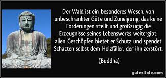 Als unerleuchtete wesen sind wir in einem kreislauf von geburt, tod und wiedergeburt gefangen. Der Wald Ist Ein Besonderes Wesen Von Unbeschrankter Gute Und
