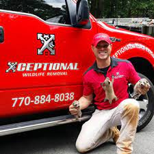 The louisiana department of wildlife and fisheries is responsible for managing and protecting louisiana's abundant natural resources. Xceptional Wildlife Removal Atlanta Ga Us 30060 Houzz