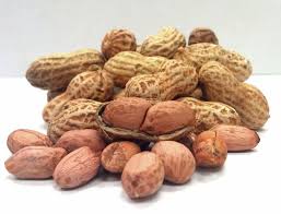 Peanuts Plant Legume Arachis Hypogaea 25 Seeds Peanut Seeds Fruit Seeds