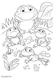 Printable coloring and activity pages are one way to keep the kids happy (or at least occupie. The Life Cycle Of A Frog Free Coloring Pages Buylapbook