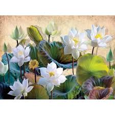 Lotus flower puzzle box for sale. Nova Puzzle 41119 White Lotus Flowers 1000 Piece Jigsaw White And Green Water Lily Flowers Artistic Cardboard Adult Jigsaw Puzzles Aliexpress