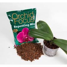 Orchids are best repotted when they are in active growth. Orchid Focus Repotting Mix Peat Free 3l Cowell S Garden Centre Woolsington